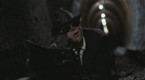The Blues Brothers: Escaping Death