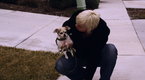 Howcast: How to Understand the Cause of Your Dog's Vomiting