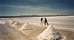 ORF Universum Documentaries: Salt - Tears of the Earth (season 1, episode 10)