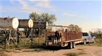 Toyota: Towing and Hauling