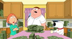 Family Guy: Lottery Fever (season 10, episode 1)