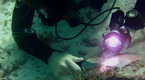 The Truth Behind: Ancient Tsunami?