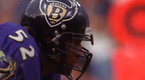 Team Highlights: Baltimore Ravens