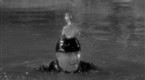 The Three Stooges Collection: A Ducking They Did Go (season 2, episode 14)