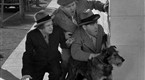 The Three Stooges Collection: Calling All Curs (season 2, episode 15)