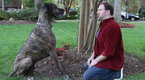AdZone: Doritos: Man's Best Friend