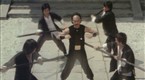 Kung Pow: Enter The Fist: Indestructible Master Pain