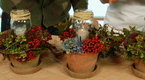 The Chef's Kitchen: Dressing Your Table for the Holidays