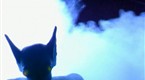 Paranormal TV: Monsters of the UFO: Incident at Kelly (season 1, episode 1)