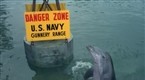Flipper - Original: The Firing Line, Part 2 (season 3, episode 24)