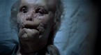 Hannibal: Verger's Story