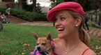 Legally Blonde: Elle Woods Takes Harvard Law