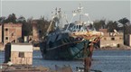 NOVA: Building Pharaoh's Ship (season 37, episode 10)