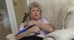 Pets &amp; Their Vets: Episode 2 (season 1, episode 2)