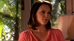 Army Wives: The Truth