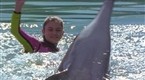 Flipper: The Dreaming (season 4, episode 27)