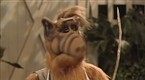 ALF: Hungry Like the Wolf (season 4, episode 22)