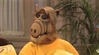 ALF: Stayin' Alive (season 4, episode 21)