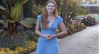 Players Network: Breeder's Cup Bet 101