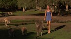 Destination Tennis: Australia (season 1, episode 2)