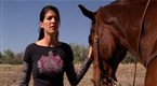 Wildfire: The Comeback (season 4, episode 10)