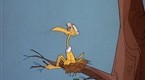 Crazy Legs Crane: Storky and Hatch