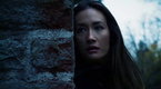 Nikita: Pale Fire (season 2, episode 11)