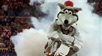 Football Follies: NFL Football Follies: Football Comedy (season 1, episode 13)