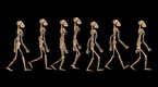 FORA.tv Science: Lucy's Legacy: the Quest for Human Origins (season 1, episode 38)