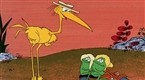Tijuana Toads: A Snake in the Gracias
