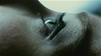 Extended Scene