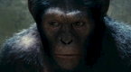 Trailer 1