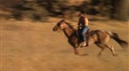 Red Shoe Diaries: Cowboy Cowboy (season 4, episode 10)