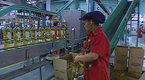 National Geographic Travel: Tequila Town