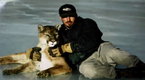 Big Cat Week: Adorably Dangerous