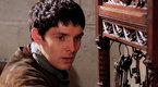 Merlin: Just Wood Worms