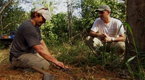 Big Cat Week: Shadow Cat Traps