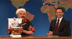 Saturday Night Live: Weekend Update:Guy Fieri