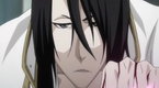 Bleach 364 (season 16, episode 364)