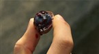 Vampire Girl Vs. Frankenstein Girl: Blood Chocolate
