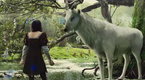 Clip - Enchanted Forest