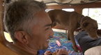 Dog Whisperer: Sony's Sea Legs