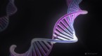 Stand Up to Cancer: Meet SU2C's Scientists: Epigenetics Dream Team