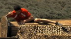 Ninja Warrior: American Ninja Warrior: Red Dragons Rough Run