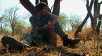 Wild: Shadow Hunters: Wild Warriors