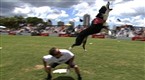 Purina Incredible Dog Challenge: 2006 Eastern Regionals: St. Petersburg, Florida (season 8, episode 1)