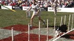Purina Incredible Dog Challenge: 2006 National Finals: St. Louis, Missouri (season 8, episode 2)
