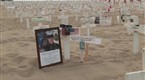 The Military Network: Who Will Stand