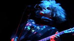 Moshcam: The Melvins
