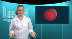 Food Science: Leavening (season 1, episode 13)
